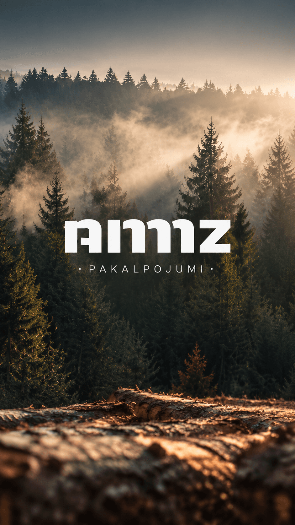 AMMZ Pakalpojumi